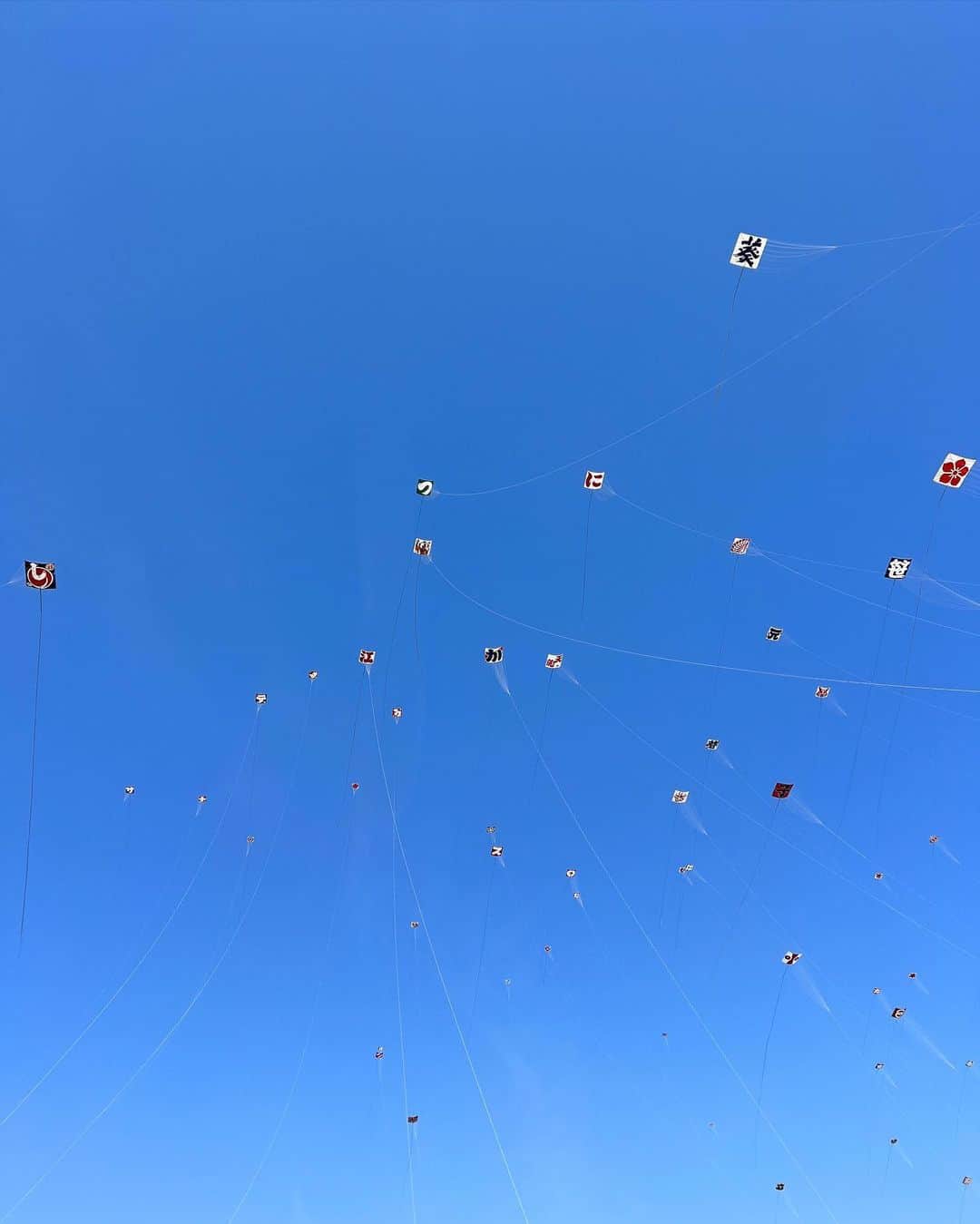 のインスタグラム：「浜松祭り。  コロナ以来初めてのお祭りでワクワク。  たっくさんの凧が上がってて "こんなお祭り初めて〜"って声に出して言いました。 街全体でお祭りを盛り上げてます！って感じがすごく楽しかったです。  浜松の名物⁇ もっちりチーズがカロリーなんて気にしてられないくらい美味しすぎました。  チーズ伸びるのかと思った全然伸びなかった笑」