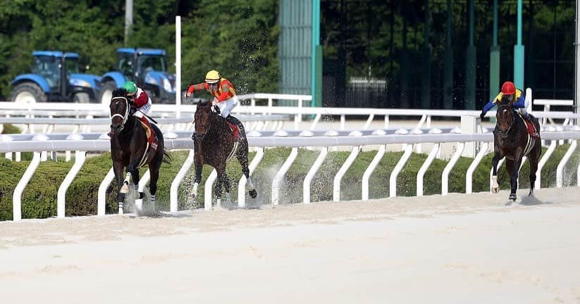 池添謙一のインスタグラム：「兵庫CS ブリッツファング🐴 ブリッツファングにとってまだ始まりでしかない🏇 1走ごとに内容、走り方も成長してます。 ようやく自分にもダートで夢を追っていける馬に出逢いました🐴 このまま無事に進んでいってほしい。楽しみです(^^) #兵庫CS #ブリッツファング」