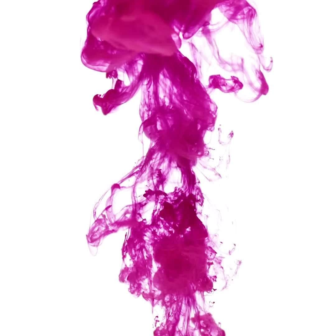 イズロのインスタグラム：「Purple mood.  Visita il nostro shop 👉🏻 Link in Bio!  #Islo #Isabellalorusso #NewCollection #PE2022 #PrimaveraEstate #NuovaCollezione #CollezionePrimaveraEstate #OutfitPrimavera #SS2022 #SpringSummerCollection #shoes #shoesaddict #italianstyle #madeinitaly」