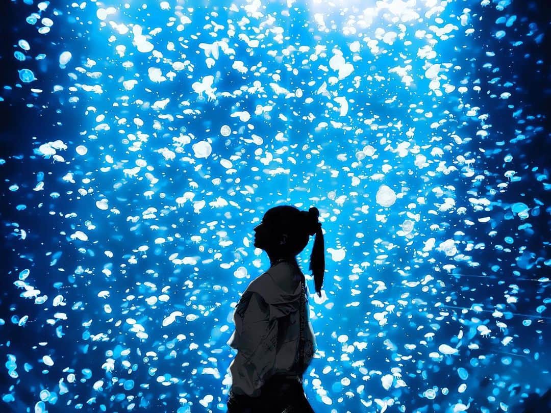 岡田彩花のインスタグラム：「. #加茂水族館 . . 米津玄師さんの「海の幽霊」を聞きたくなる💠✨ . . . #くらげ #クラゲ #海月 #水母 #jellyfish #水族館 #aquarium #写真 #photogenic #フォトジェニック #ふぉとじぇにっく #海 #影 #青 #Blue #米津玄師 #海の幽霊 #みんすと #みんなの青のストーリー #儚くて何処か愛おしい様な #儚くて何処か愛おしいような #日常の一コマ #日常に魔法をかけて #日常に彩りを #日常に色彩を #その旅に物語を #その瞬間に物語を #一瞬のときめきを永遠に #jp_portrait部」