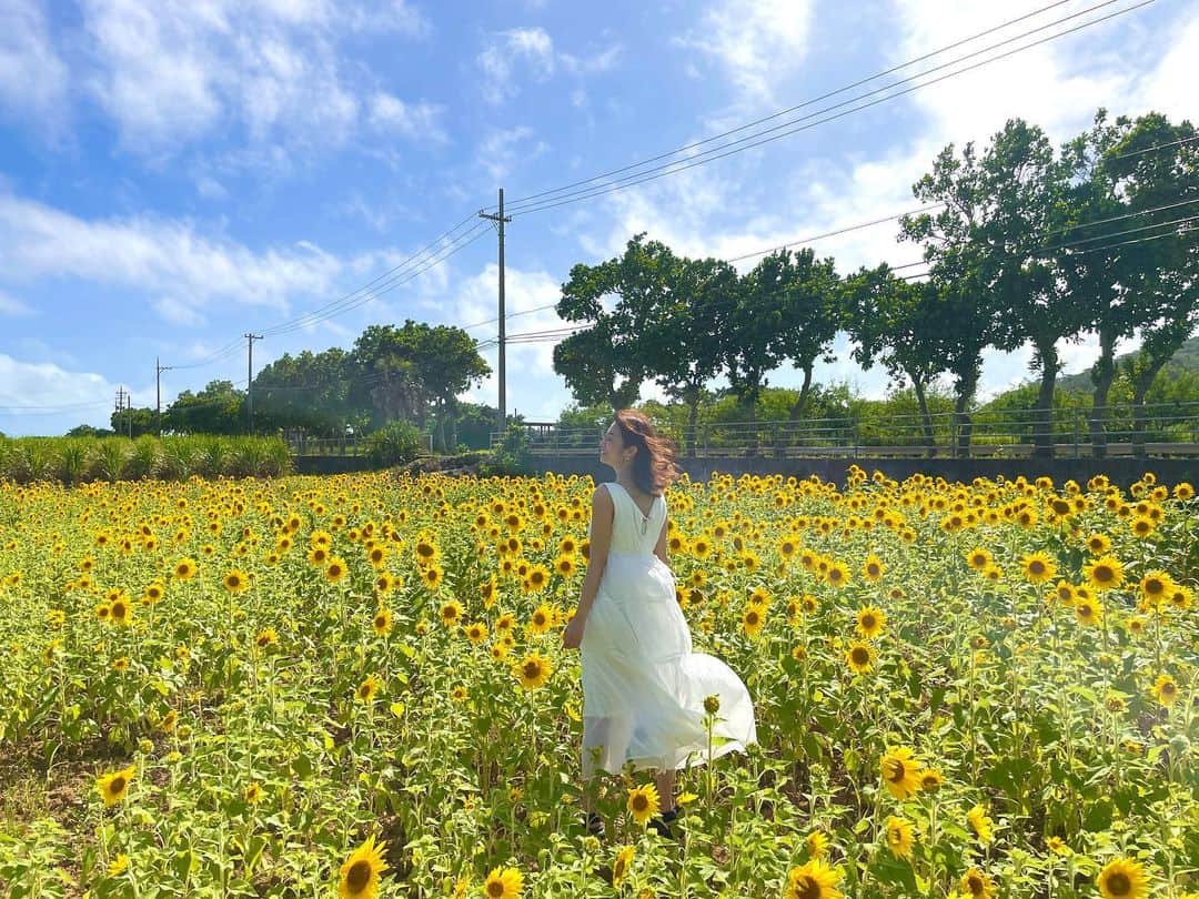 のインスタグラム：「. . もうすぐ夏だー☀️ お花の中で1番ひまわりが好き🌻 ⁡ ⁡ ⁡ #ひまわり畑 #instalike #instamood  #ootd #东京 #扎心了 #ow #맞팔 #instapic  #팔로우미 #instaphoto #instagravure #girl #follow #followme #グラビア #japanesegirl #selfies #gravure」