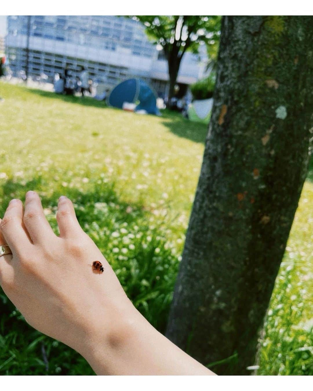 佐々木希さんのインスタグラム写真 - (佐々木希Instagram)「先日の大阪旅☺︎ 友人に会いに行けました！ 初日は雨で心斎橋のレゴストアへ🧱 そして八尾にあるカラオケ喫茶で、昔ながらの淹れ方で飲むコーヒーが、ホッとできてすごく美味しかったな☕️ そしてがっつりとんかつ！お腹いっぱい食べてどれも最高でした！！ 次の日は晴れたので、フードフェスで楽しめました！勿論たこ焼きもGET👍 友人のお家では美味しいナチュラルワイン 。 大阪旅、ありがとう✨✨✨  #とんかつマンジェ  #カラオケ喫茶KoKo #ナチュラルワイン」5月5日 10時46分 - nozomisasaki_official