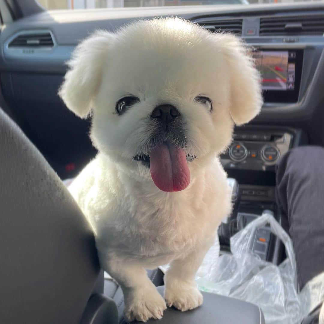 こなつのインスタグラム：「😚😚😚💕」