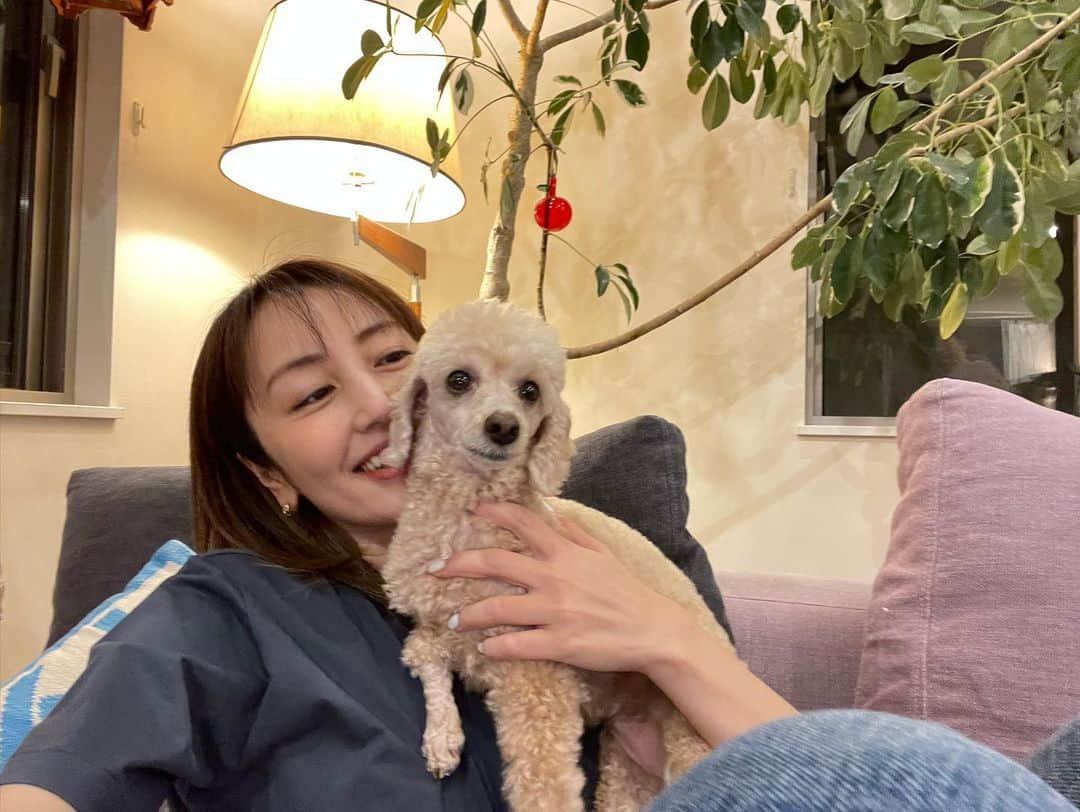 矢田亜希子さんのインスタグラム写真 - (矢田亜希子Instagram)「久しぶりのきなこです💕 #トイプードル#toypoodle #矢田きなこです#羊さんカット#癒し#もなかと喧嘩始まりました#姉妹犬#相変わらず仲悪い」5月5日 21時50分 - akiko_yada