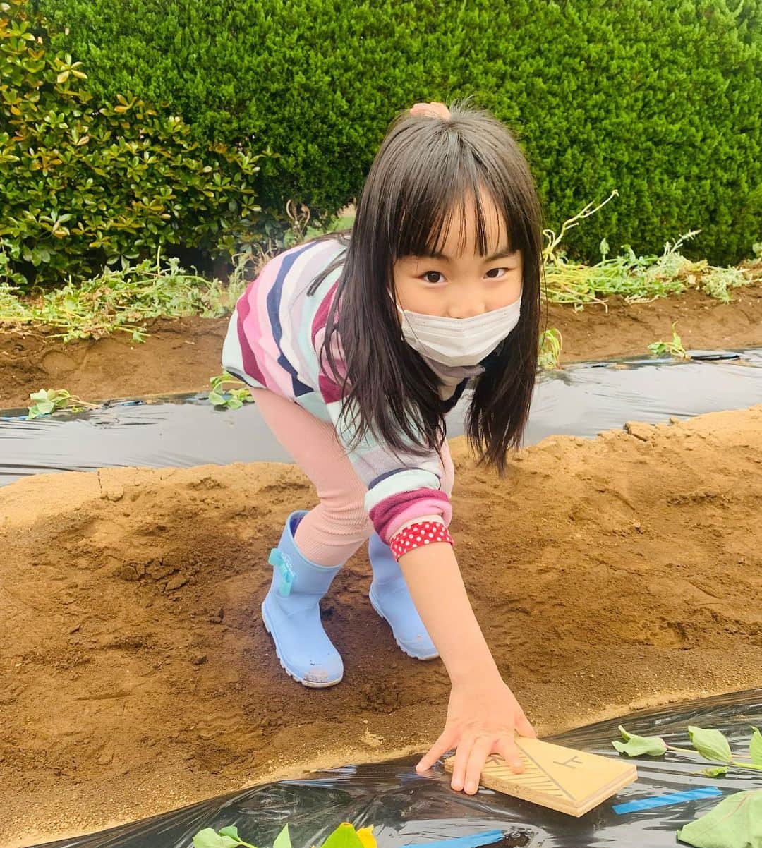 桜田聖子さんのインスタグラム写真 - (桜田聖子Instagram)「この連休は、なんだかんだお仕事が忙しかったのですが、１日は、さつま芋の苗を植えるイベントに参加したり公園で思いっきり遊んで、今日はキッズパークへ行ったり、焼肉を食べに行ったり、菖蒲湯に入ったり、子供達と沢山楽しみました💕  みんなは、どんな、ゴールデンウィークだったかな🍀  今日は、こどもの日😊  ゆっくりさんでも、のんびりさんでも、その子のペースで少しずつでも前に進んでいれば、ハナマルさん💮✨😊  子供達に思う事❣️  いつも、沢山の幸せをありがとう✨✨✨  #downsyndrome #specialneeds #trisomy21 #ダウン症 #ダウン症候群 #トリソミー21 #3歳2ヶ月 #成長記録 #生まれてきてくれてありがとう  #心室中隔欠損症  #男の子ママ  #男の子 #boy #ダウン症ボーイ #trisomy21boy #こどもの日」5月5日 22時12分 - seikosakurada