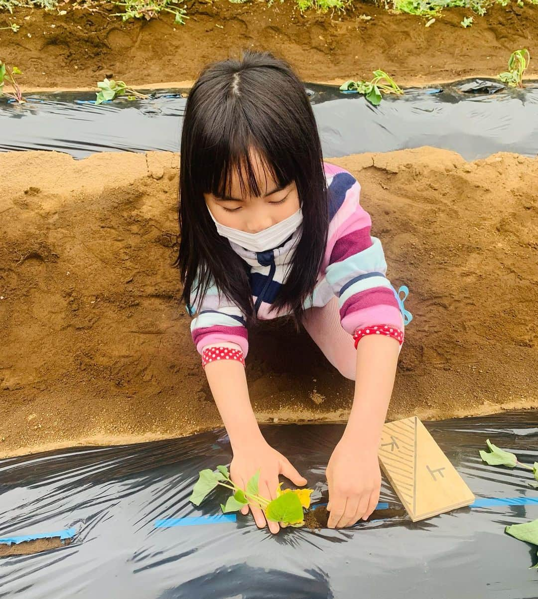 桜田聖子さんのインスタグラム写真 - (桜田聖子Instagram)「この連休は、なんだかんだお仕事が忙しかったのですが、１日は、さつま芋の苗を植えるイベントに参加したり公園で思いっきり遊んで、今日はキッズパークへ行ったり、焼肉を食べに行ったり、菖蒲湯に入ったり、子供達と沢山楽しみました💕  みんなは、どんな、ゴールデンウィークだったかな🍀  今日は、こどもの日😊  ゆっくりさんでも、のんびりさんでも、その子のペースで少しずつでも前に進んでいれば、ハナマルさん💮✨😊  子供達に思う事❣️  いつも、沢山の幸せをありがとう✨✨✨  #downsyndrome #specialneeds #trisomy21 #ダウン症 #ダウン症候群 #トリソミー21 #3歳2ヶ月 #成長記録 #生まれてきてくれてありがとう  #心室中隔欠損症  #男の子ママ  #男の子 #boy #ダウン症ボーイ #trisomy21boy #こどもの日」5月5日 22時12分 - seikosakurada