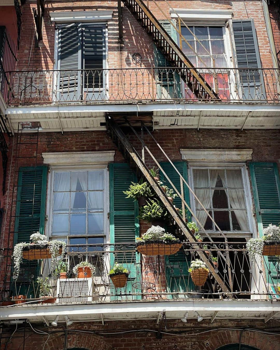 アナスタシア・オルソンさんのインスタグラム写真 - (アナスタシア・オルソンInstagram)「Wandering in French Quarter 🌿」5月6日 0時48分 - stasiaolson