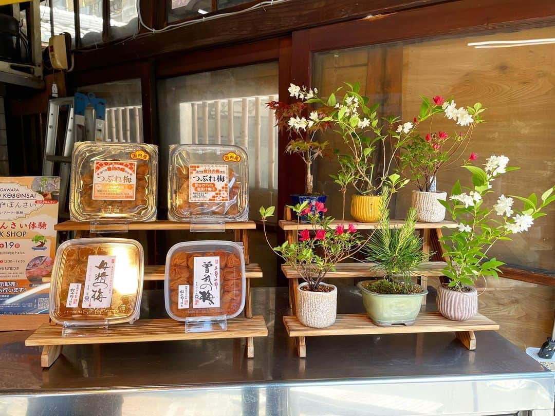 谷澤杏奈のグルメインスタ