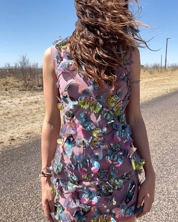 シンシア ローリーのインスタグラム：「Butterflies in the desert」