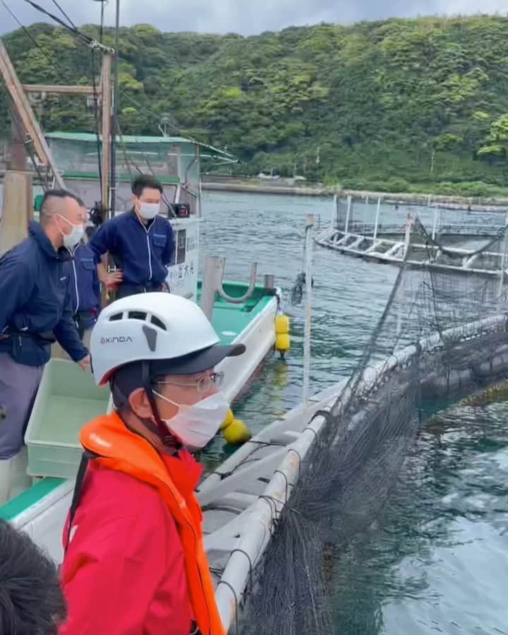 近畿大学総務部広報室のインスタグラム：「#feeding #kindaituna  #tuna #sustainability   #近大マグロ の#餌やり」