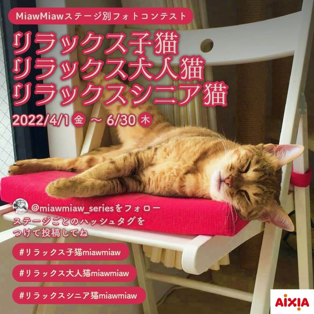 MiawMiawのインスタグラム：「＼フォトコンテスト開催中🐈🏆！／⁣  MiawMiawはただいま「リラックス子猫・リラックス大人猫・リラックスシニア猫」フォトコンテストを開催中です♪  いくつになっても子猫のときと変わらず可愛くて癒してくれる大人猫ちゃんのリラックス写真など待ってまーす😸 賞品には、子猫ちゃん・大人猫ちゃん・シニア猫ちゃんそれぞれのステージに合わせたMiawMiaw商品詰め合わせをご用意😋  おうちの猫ちゃんのリラックスした姿のベストショットを撮って、指定のハッシュタグで投稿してくださいね💖💖  ＜参加方法＞⁣ ① @miawmiaw_series (ミャウミャウ公式アカウント)をフォロー⁣ ② 応募テーマに合った写真を撮影する（過去の写真でももちろんOKです)⁣ ③ 下記のフォトコン専用ハッシュタグの中から、一つ選んで投稿する（複数応募・複数枚投稿可）⁣ ※キャンペーン期間外(過去投稿)の投稿に応募ハッシュタグを付けた場合はキャンペーンの応募対象外とさせていただきます。ご了承ください。⁣ ⁣ ＜フォトコン専用ハッシュタグ＞⁣ 写真の猫ちゃんのステージに合った①～③のいずれかの応募テーマを選択し、指定のハッシュタグを付けて投稿してください♪⁣ ⁣ 【①リラックスしている子猫ちゃんのフォト】⁣ #リラックス子猫miawmiaw ⁣ 【②リラックスしている大人猫ちゃんのフォト】⁣ #リラックス大人猫miawmiaw  【③リラックスしているシニア猫ちゃんのフォト】 #リラックスシニア猫miawmiaw ⁣ ☆フォトコンテスト期間中、指定のハッシュタグでご参加いただいている方を、当アカウントでご紹介させていただくこともございます😻📷♪⁣ ⁣ ＜募集期間＞⁣ 2022年4月1日(金)～2022年6月30日(木)23:59まで⁣ ⁣ ＜賞品＞⁣ 🏆金賞　各テーマ1名様　：投稿フォト入りオリジナル猫用爪とぎ＋ステージごと（子猫用・成猫用・シニア猫用）MiawMiaw商品詰め合わせ⁣  🏆銀賞　各テーマ3名様　：オリジナルQUOカード( 合計800円分)＋ステージごと（子猫用・成猫用・シニア猫用）MiawMiaw商品詰め合わせ⁣ ⁣ ⁣※賞品の画像はイメージです。変更になる場合がございます。⁣ ⁣ ＜当選者様へのご連絡＞⁣ 当選者発表は7⽉下旬を予定しております。⁣ 当選者の⽅には Instagram上のDMにてご連絡いたします。⁣ ⁣ ＜ご注意＞⁣ ＊本キャンペーンにご参加いただくことにより、本募集要項に同意いただいたものとみなします（未成年の方については、親権者に同意いただいたものとみなします）。⁣ ＊選考時に、アカウントフォロー及び指定のハッシュタグ投稿を継続いただいていることが確認できない場合、選考の対象から外れることがあります。フォトコンテスト終了からおおむね1か月程度、参加条件に達する状態を継続いただくことをお勧めします。⁣ ＊アカウントを非公開設定にしている場合は選考対象外となります。⁣ ＊再選考は行いません。⁣ ＊当選者は、配送の都合で日本国内にお住まいの方に限らせていただきます。⁣ ＊企業アカウントからのご応募は選考対象外となります。⁣ ＊賞品の返品・交換はできませんのでご了承くださいませ。⁣ ＊賞品の転売は禁止させていただきます。⁣ ＊通信環境の問題でDMが不着となった場合、又はご当選通知のDMに記載の手続きを履行いただけない場合、ご当選の資格は無効となります。⁣ ＊賞品画像はイメージとなります。⁣ ＊本キャンペーン参加にあたって生じるインターネット接続料や通信料、当選連絡DMに記載の手続を履践するにあたって生じる諸費用は、ご本人様の負担となります。⁣ ＊本キャンペーンで投稿いただいた写真や動画は、当社公式Instagramアカウントにてご紹介させていただく場合がございます。なお、このご紹介は選考結果とは関係がありません。⁣ ⁣ たくさんのご応募お待ちしております😻！⁣ ⁣ #miawmiaw #ミャウミャウ⁣ #部屋ねこ #おうち時間を楽しむ #フォトコンテスト #コンテスト #プレゼント企画 #プレゼント #プレゼントキャンペーン #キャンペーン開催中 #キャンペーン #ねこのいる生活 #ねこばか #ネコ好き #猫 #ねこ #ネコ #にゃんこ #猫部 #猫のいる暮らし ・」