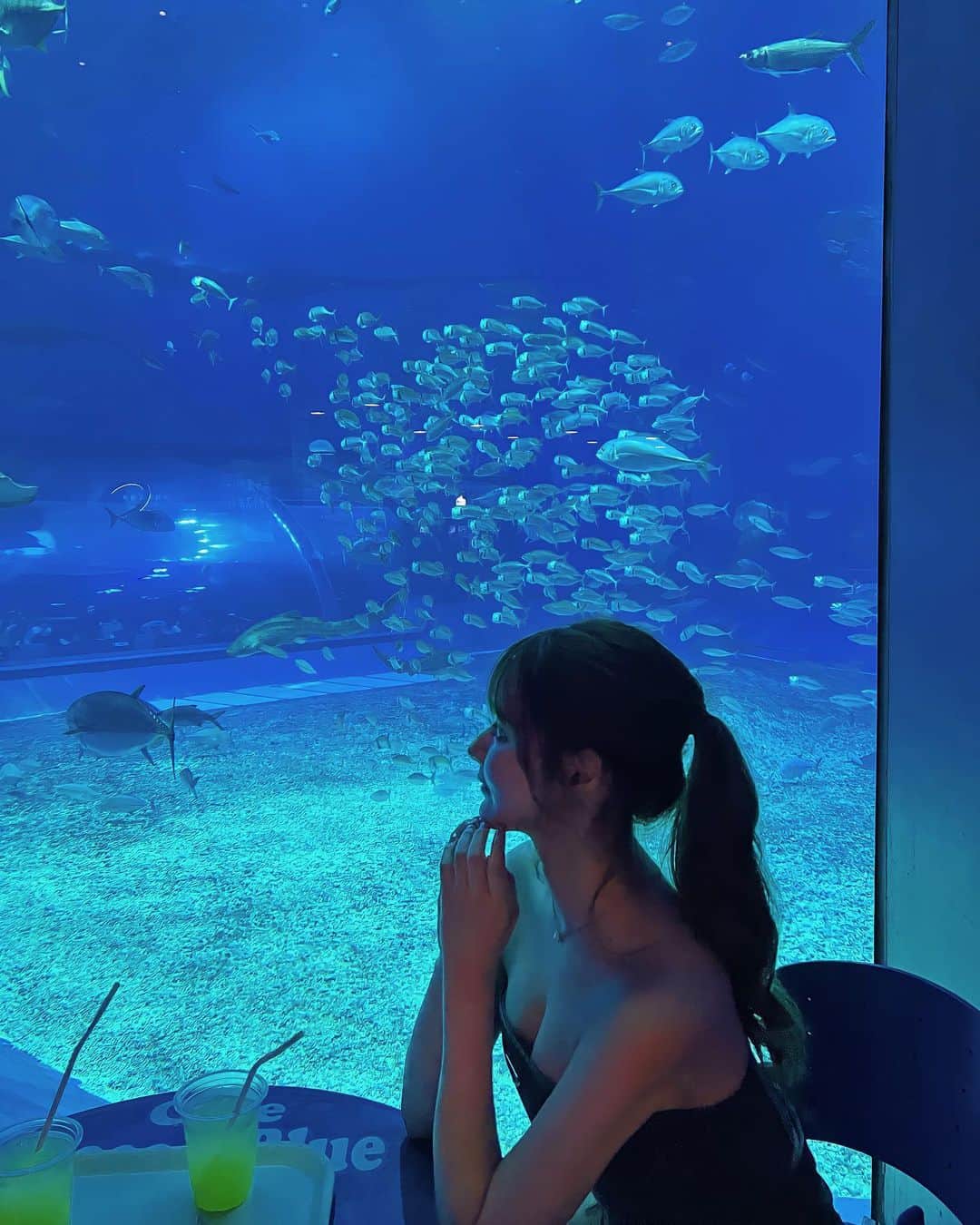 KIHOさんのインスタグラム写真 - (KIHOInstagram)「. 水槽の見えるカフェ. . . . #沖縄旅行🌺 #美ら海水族館」5月6日 16時11分 - i_am__k