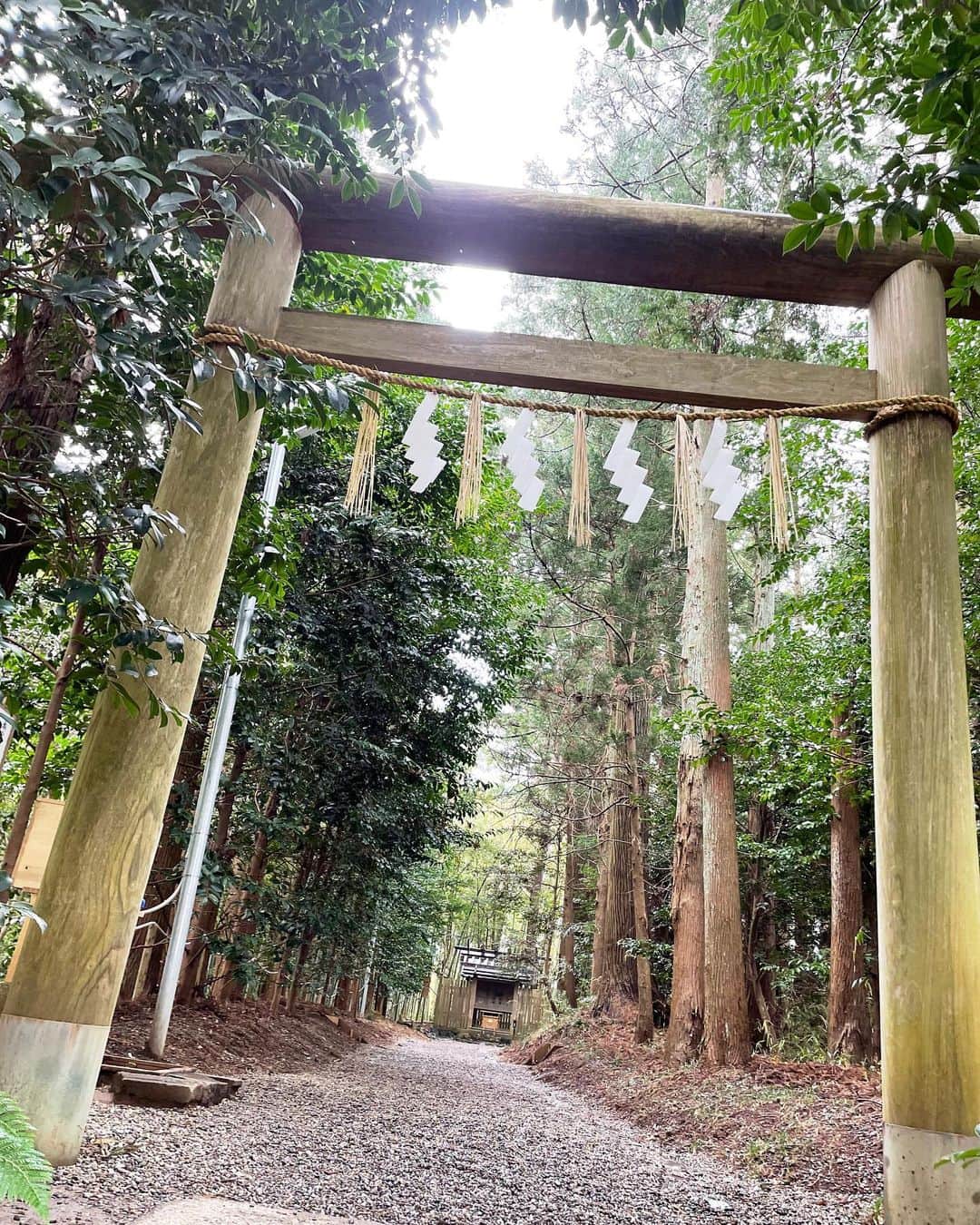 望月理恵さんのインスタグラム写真 - (望月理恵Instagram)「最近、友達と神社巡りしています。  先月は「東国三社」と呼ばれる 三つの神社と神宮にいきました。 茨城県の「鹿島神宮」「息栖神社」 千葉県の「香取神宮」 三社を巡るお参りは関東のお伊勢参りと言われているそうです。 手に持っているのは その三社を合体したお守り😋  運気アップはもちろん願うところでは ありますが、素敵な場所の景色を堪能し、気分転換になります。 それだけでいい！ しかも友達とのドライブが 楽しいです。 互いにいい曲をセレクトしながら 泣けるーー！好きーー なんて言ってる時間が幸せです❣️ その友達！ おみくじを大吉しか 引かないんですよ！！ 最強😂 私は、、小吉だったり中吉だったり、 凶だったり、、伸び代しかないです！笑笑  #神社巡り#東国三社  #パワースポット #お守り 次はどこに行こうかな〜 #おすすめあれば教えてください」5月6日 16時56分 - mochiee28