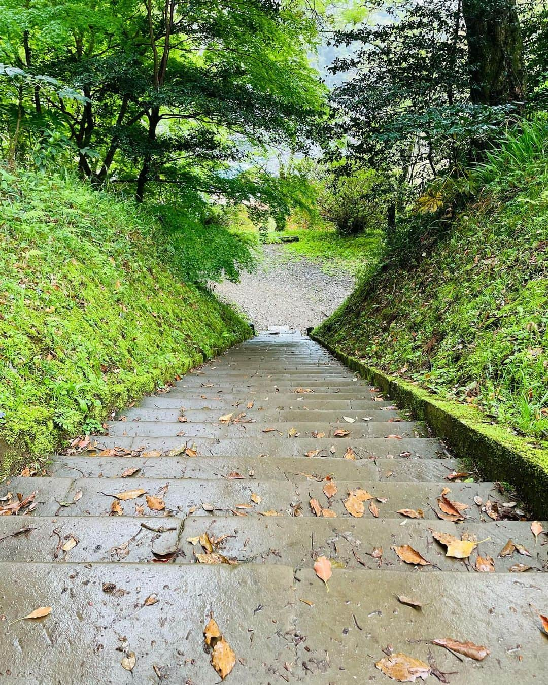 望月理恵さんのインスタグラム写真 - (望月理恵Instagram)「最近、友達と神社巡りしています。  先月は「東国三社」と呼ばれる 三つの神社と神宮にいきました。 茨城県の「鹿島神宮」「息栖神社」 千葉県の「香取神宮」 三社を巡るお参りは関東のお伊勢参りと言われているそうです。 手に持っているのは その三社を合体したお守り😋  運気アップはもちろん願うところでは ありますが、素敵な場所の景色を堪能し、気分転換になります。 それだけでいい！ しかも友達とのドライブが 楽しいです。 互いにいい曲をセレクトしながら 泣けるーー！好きーー なんて言ってる時間が幸せです❣️ その友達！ おみくじを大吉しか 引かないんですよ！！ 最強😂 私は、、小吉だったり中吉だったり、 凶だったり、、伸び代しかないです！笑笑  #神社巡り#東国三社  #パワースポット #お守り 次はどこに行こうかな〜 #おすすめあれば教えてください」5月6日 16時56分 - mochiee28