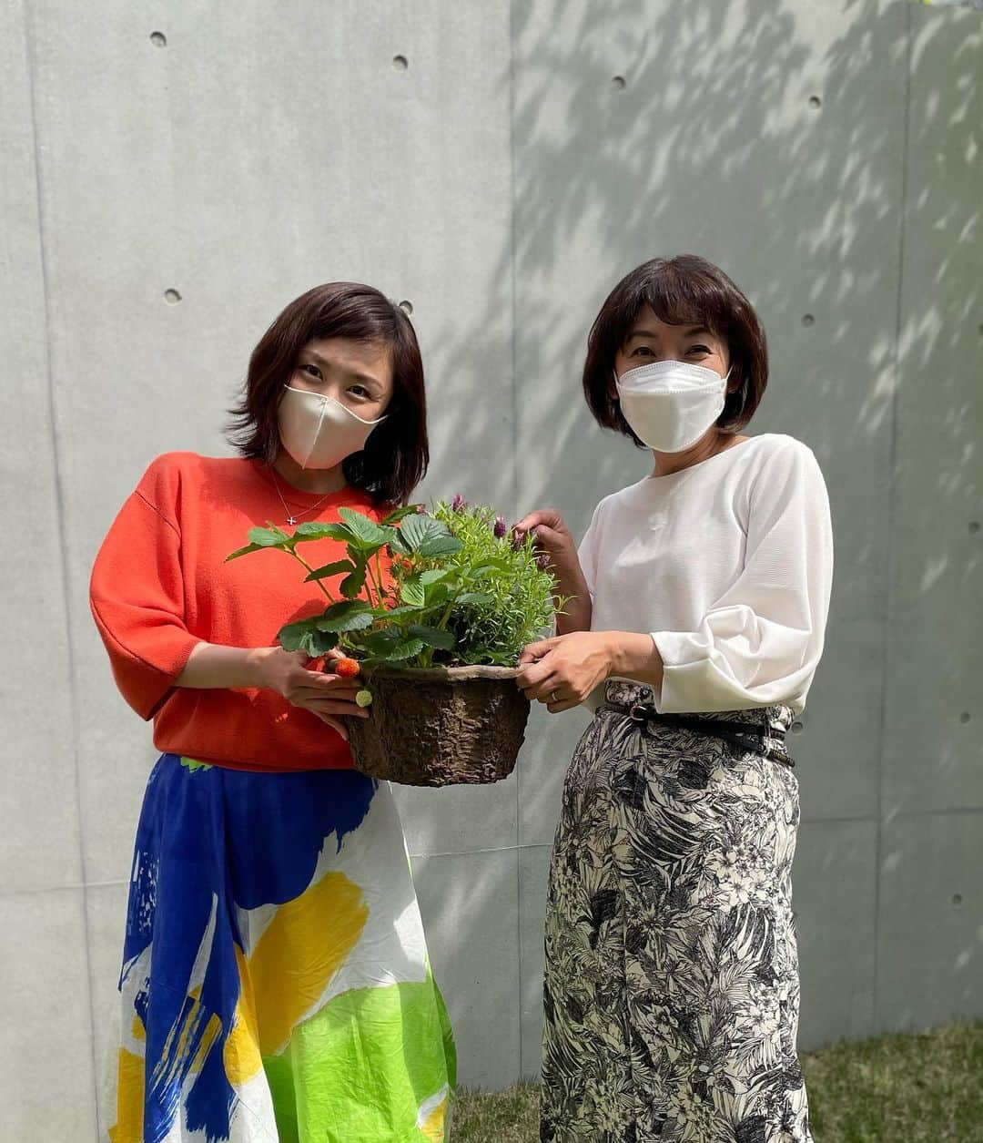 山口もえさんのインスタグラム写真 - (山口もえInstagram)「・  家庭菜園の楽しい季節🌱✨ タカさんがわが家に遊びに来てくれました！！ タカさんと4歳児と家庭菜園のお手入れを イチゴがハート型だったよ🥰  #深町貴子 さん #久々にお逢いできてうれしす♡♡♡ #家庭菜園#プランター菜園 #🍓#ハート」5月6日 16時57分 - moe_yamaguchi0611