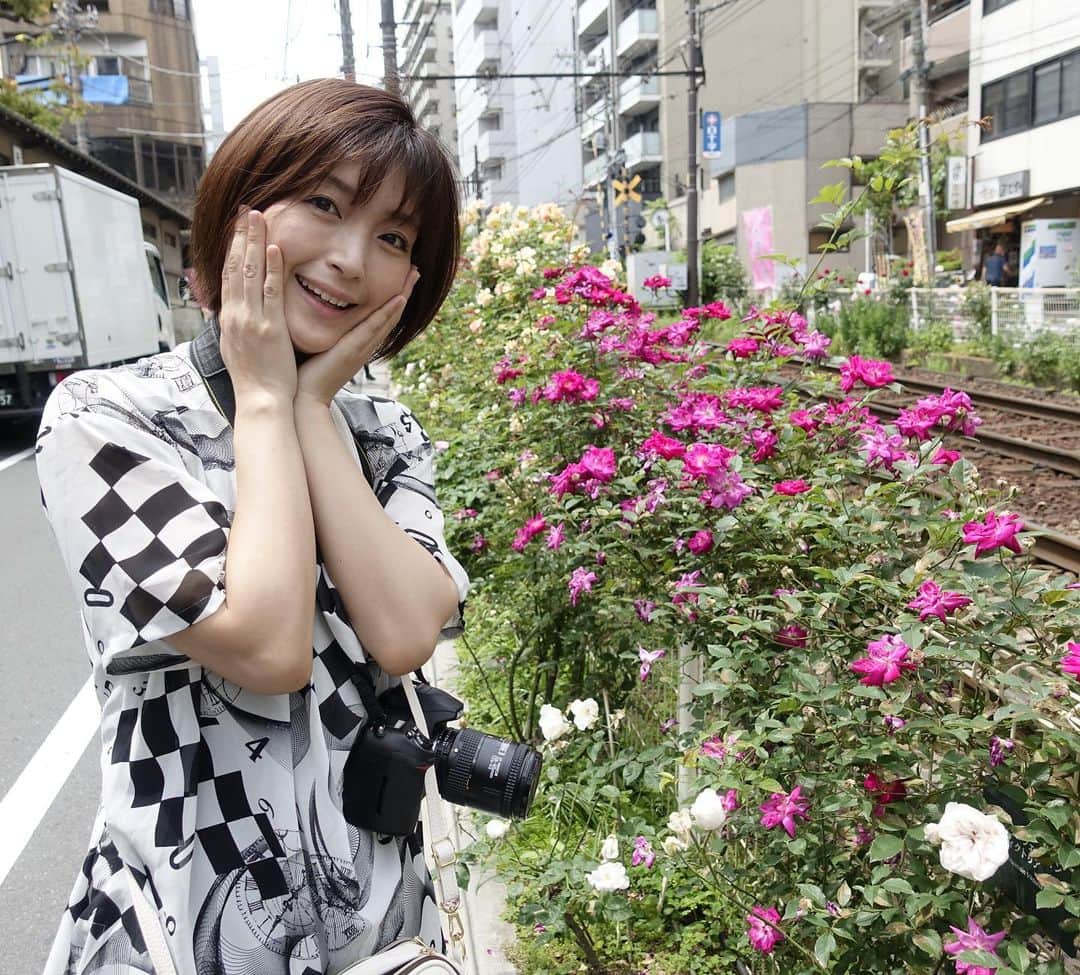 並木塔子のインスタグラム：「どんなGWを過ごしてるのかな？  #カメラ女子 #カメラ熟女 #カメラおばさん #カメラお姉さん #真実はどれ #大塚ばらロード #薔薇が咲いた」