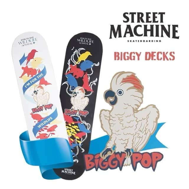 イギー・ポップのインスタグラム：「Repost: byronbaywildlife Skate for Good with Biggy on Board. In partnership with @streetmachineskate, Byron Bay Wildlife Hospital is stoked to launch an ultra limited edition Biggy Pop skate deck in honour of our Foundation Patron, @biggypop, the feathered bestie of the godfather of punk, @iggypopofficial. Proceeds from each sale will be donated to help Byron Bay Wildlife Hospital save Aussie animals. #forthewildlife @ByronBayWildlife #BiggyPop #cockatoo #birdlife #IggyPop #streetmachineskate #supportyourlocalskateshop #skatelife   Don’t sleep on this hot cake collector's item.  Rider: @ebskateboarding」