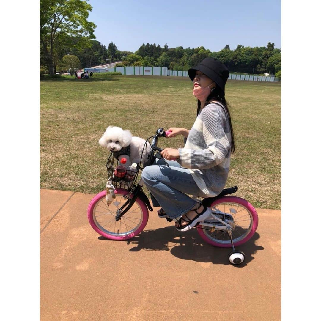 めぐりさんのインスタグラム写真 - (めぐりInstagram)「姪っ子の🚲でお散歩🐩」5月7日 13時49分 - meguri.0504