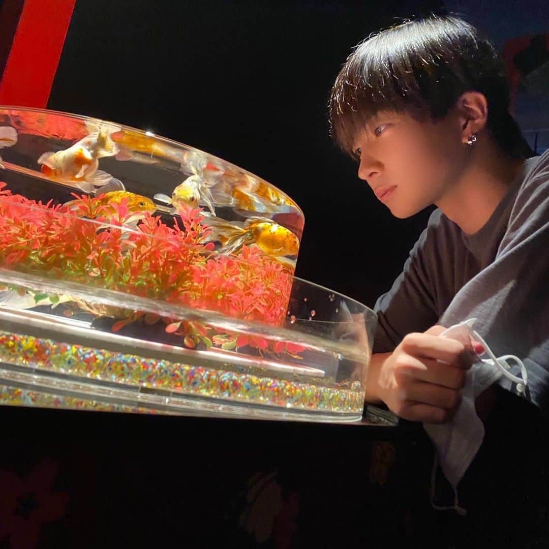 吉田元気のインスタグラム