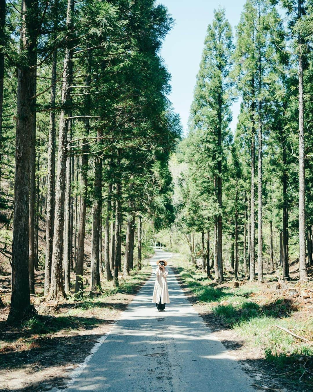 Kobe Japan Water artのインスタグラム：「"Fresh green🌲" 新緑の季節」