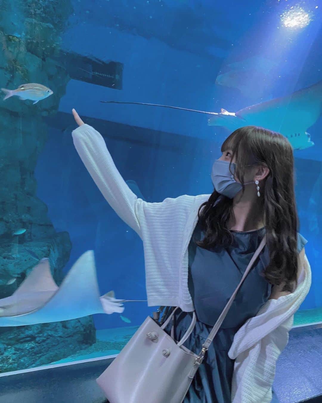 佐佐木一心のインスタグラム：「🐬」