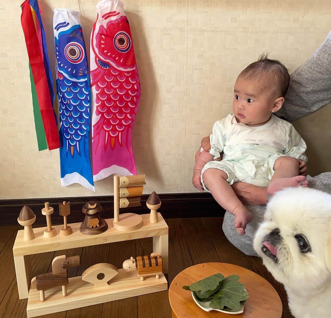 こなつのインスタグラム