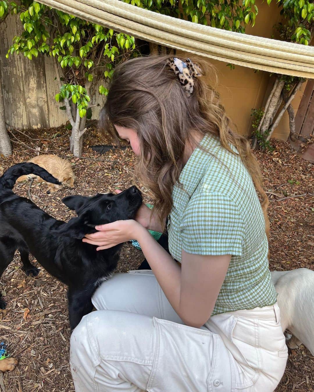 グレース・ビクトリア・コックスのインスタグラム：「@pupswithoutborders is an AMAZING rescue that works to save tons of dogs in the US and Mexico!! I got to hang out with some of their available pups today and OF COURSE met 2 perfect little scruffs that reminded me of my girly, Violet 💜💜💜, along with so many other awesome dogs!!! You can check out adoptable dogs on the @pupswithoutborders Instagram page or on their website :) and you can always always volunteer to foster dogs if you just wanna help out! ❣️❣️❣️I started fostering a few years ago and it’s the BEST THING I’VE EVER DONE 🥺😍」