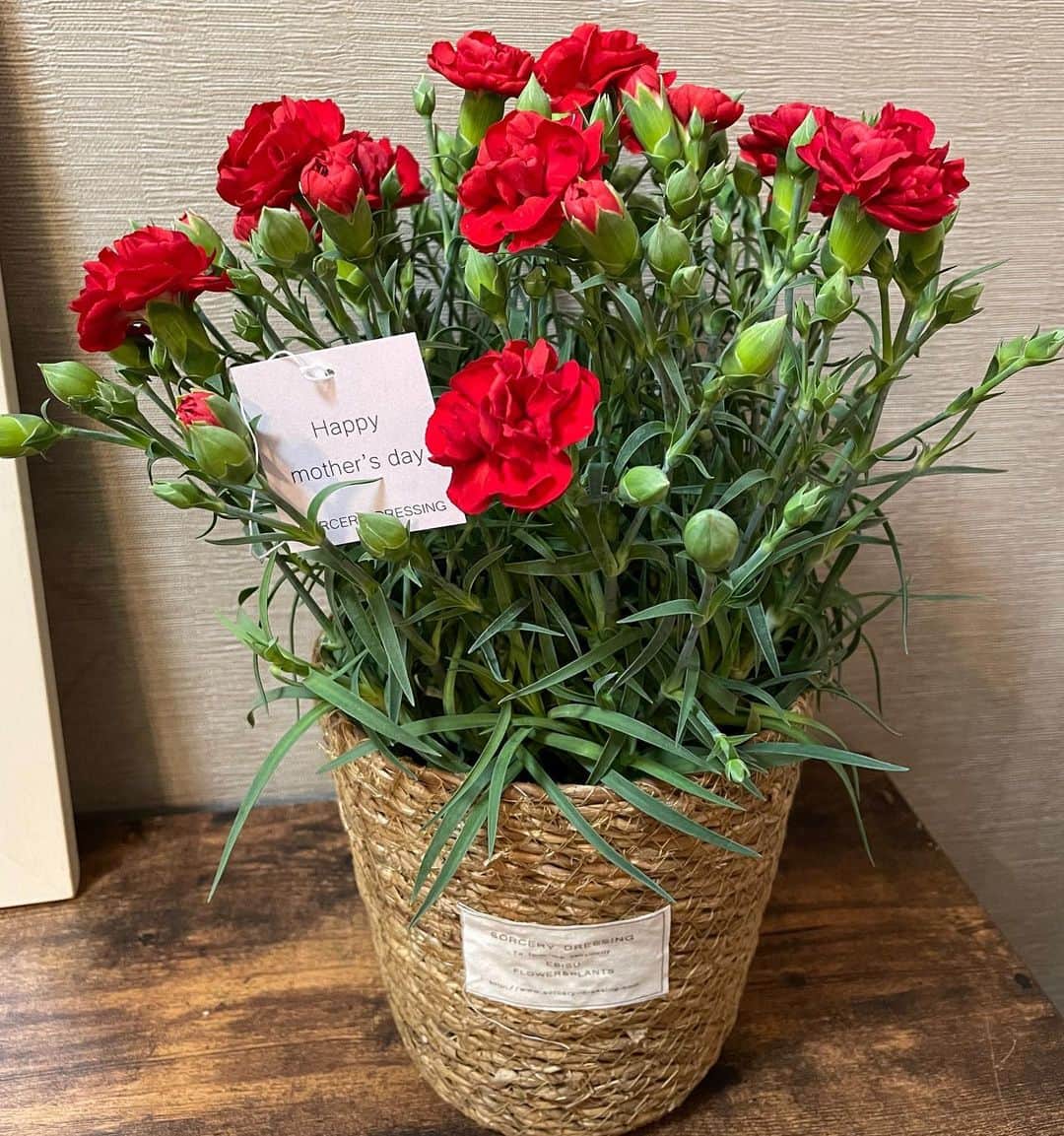 安蘭けいさんのインスタグラム写真 - (安蘭けいInstagram)「今日は母の日🌺  いつも天国から 見守ってくれて ありがとう たまには 夢に出てきてね  #母の日 #カーネーション #赤い花って可愛いな #お母さんありがとう」5月8日 19時50分 - toko_aran