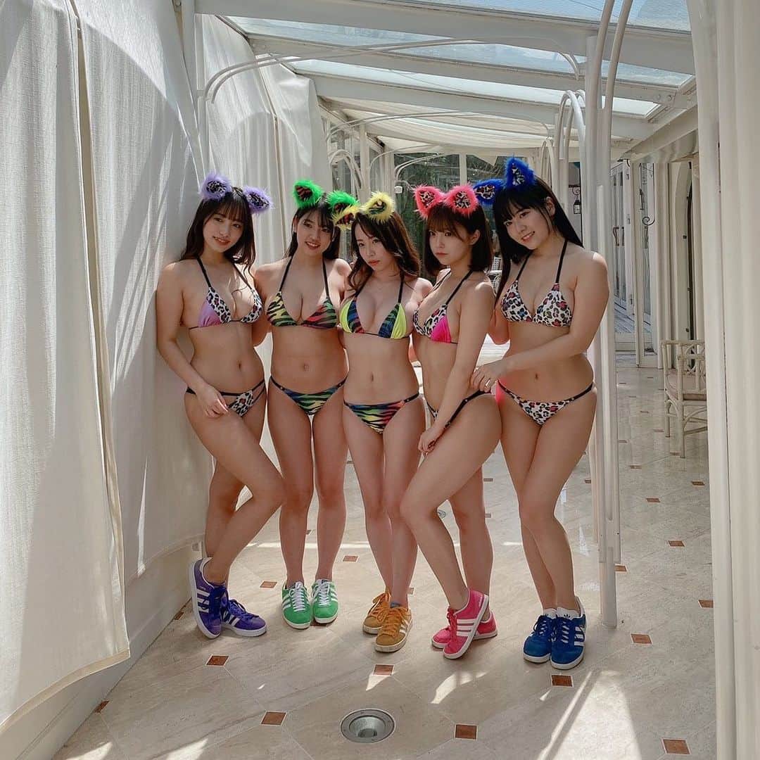 乙陽葵のインスタグラム：「カラフル猫ちゃんっ🐱  #週プレ　#週刊プレイボーイ」