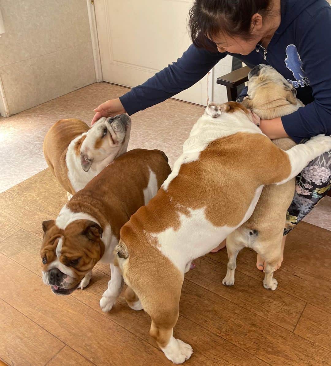 のインスタグラム：「子供達よ‼️ 有難う😊  そして…母達よ。 有難うm(_ _)m💕  #母の日  #それぞれの母の日  #母の日プレゼント  #母」