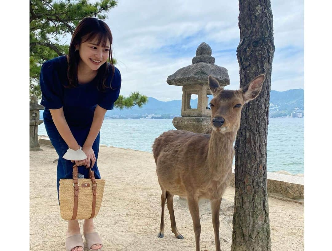 福見真紀さんのインスタグラム写真 - (福見真紀Instagram)「広島旅行⛩🍁 食べて食べて飲んで飲んで観光して野球観戦して私らしい旅行でした🙋‍♀️  #厳島神社 #広島旅行」5月8日 15時53分 - mak1ch1