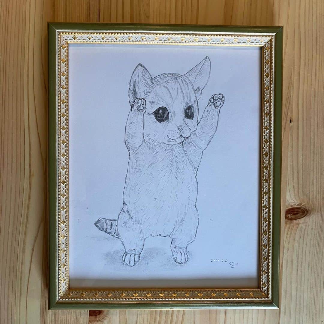 のインスタグラム：「猫をかいてみた。 おもったよりいい感じになったので、額装した。 おもったよりいい感じになったので、実家のリビングに飾った。  #母の日」