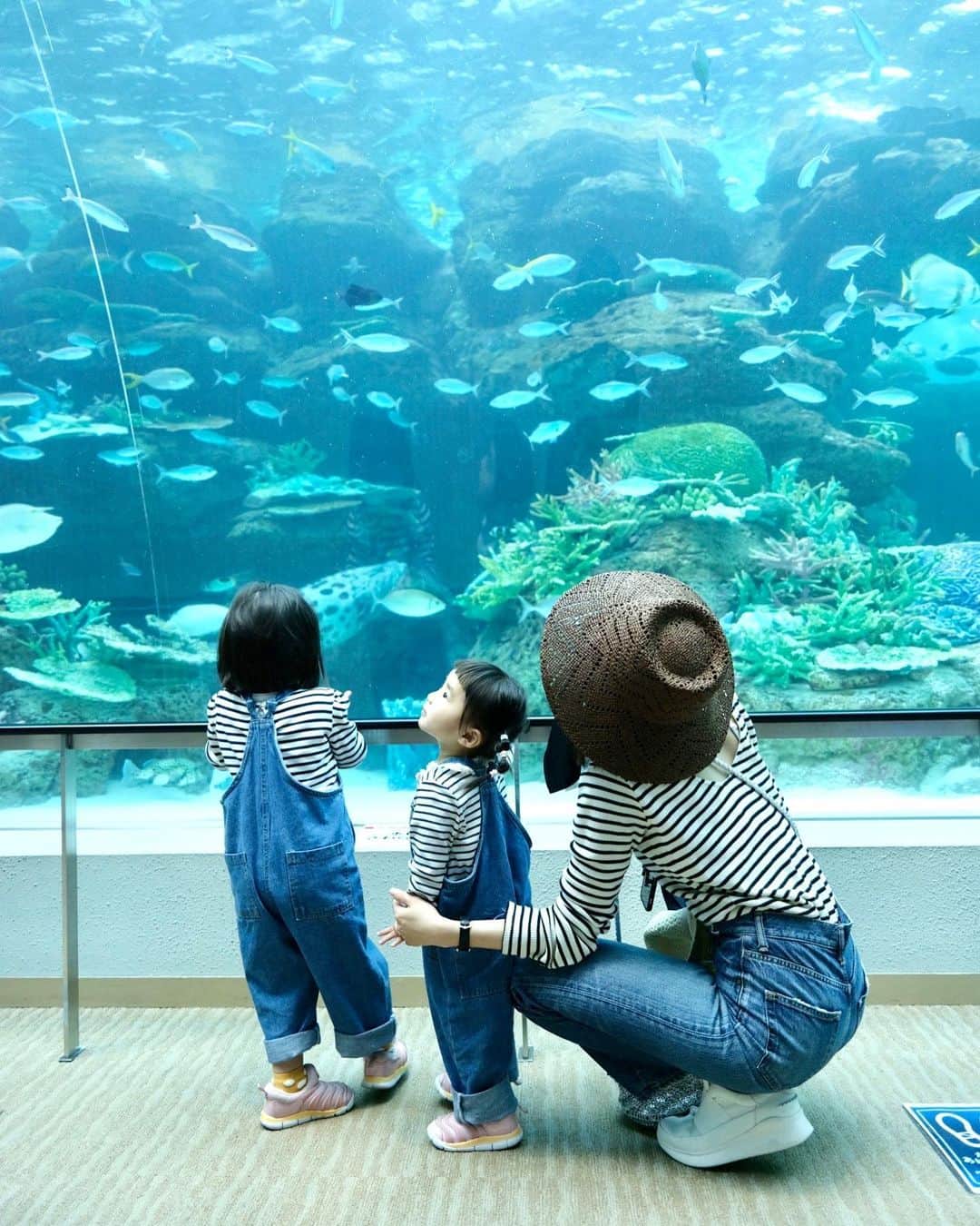 のインスタグラム：「水族館へ🐟 なんさんがいー感じの写真撮ってくれたー😍📷 さくらはここのエイが1番好き笑 ふうかは怯えてた笑 #水族館#エイが好きらしい#GW」