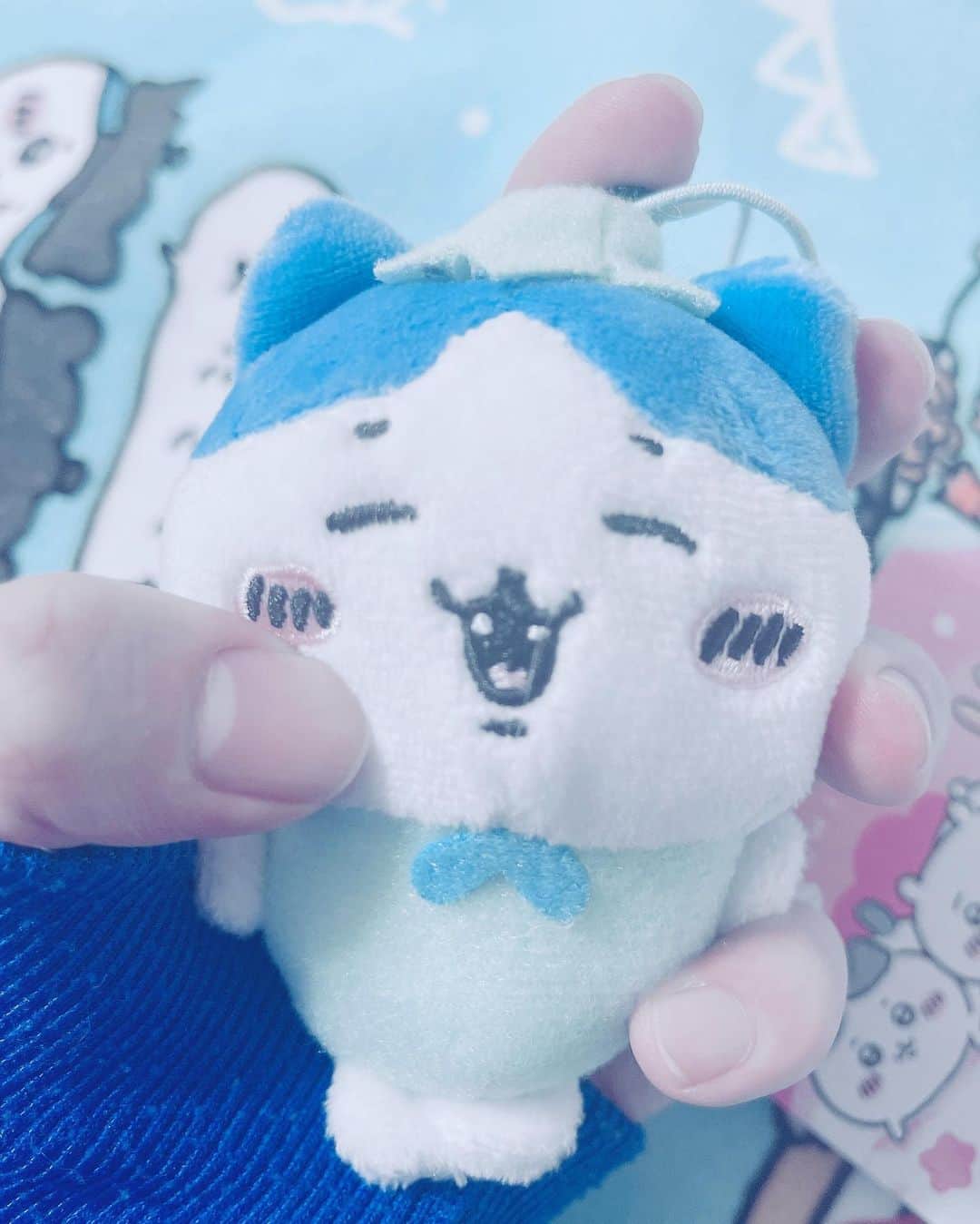 のインスタグラム：「ゲーセン行ってきたっ！！！  そしたら、この子が着いて帰ってきた(´｡✪﹃✪｡ ` )  #ハチワレ  #水色」