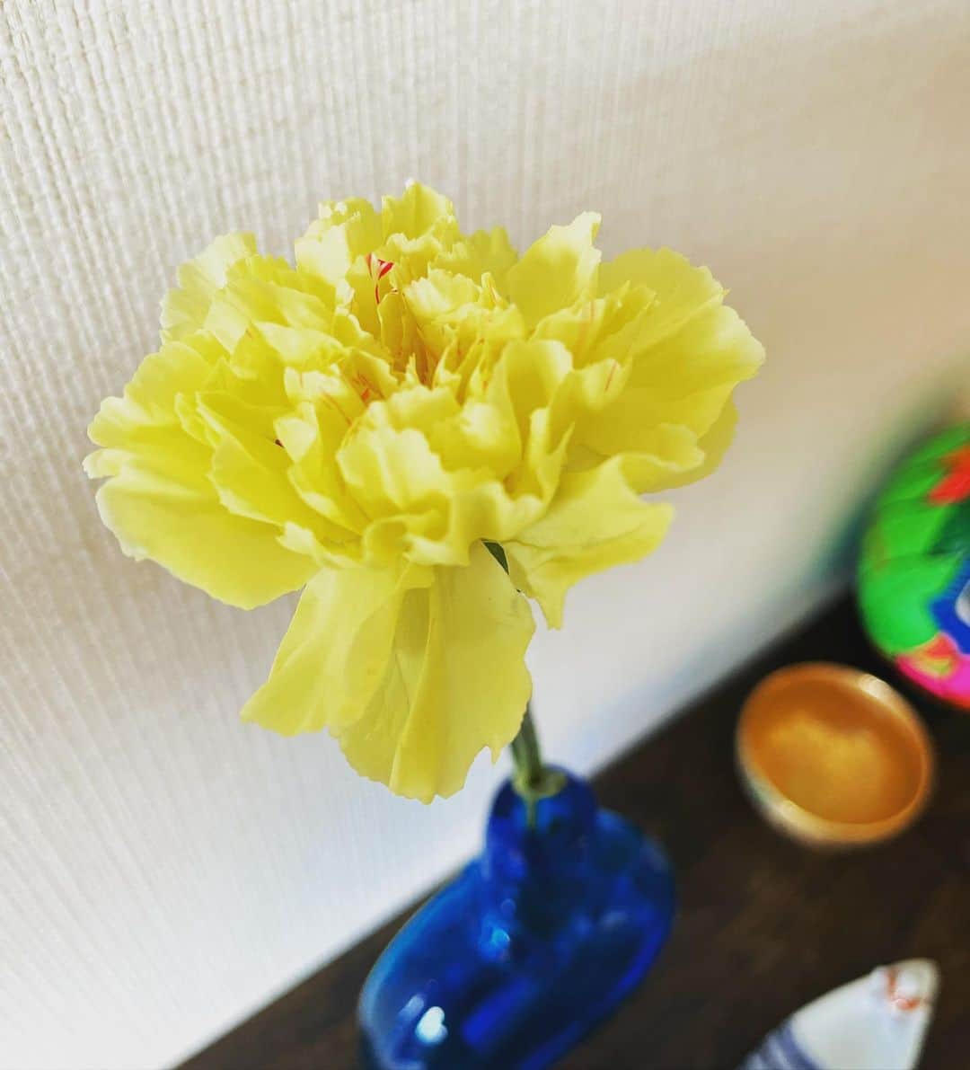 千秋さんのインスタグラム写真 - (千秋Instagram)「「ママは黄色が好きだから。」 そうですね。yellow yellow happyはまだ歌えない。（YouTube登録者数50万人まで）、ドラミちゃんは可愛い、阪神は弱い💛🍋🐯👑🐤🌼🥎🏆 #mothersday」5月8日 21時45分 - chiaki77777