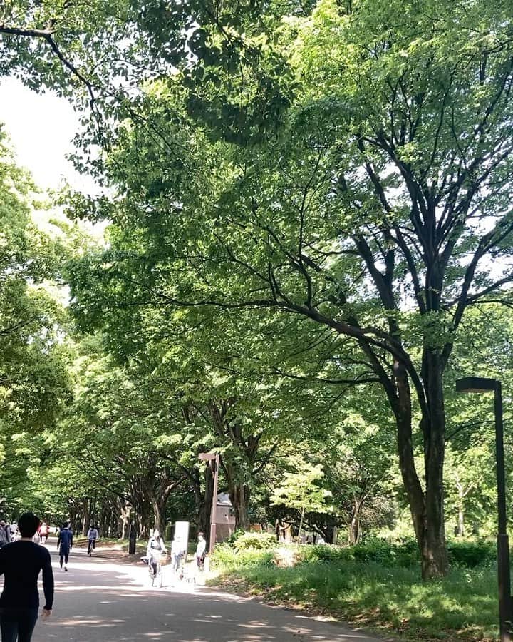 草野美木のインスタグラム：「久しぶりにお母さんと出掛けて写真撮ってもらった🙃🙃🙃💐友達みがあって楽しい みどりは癒されるよ〜〜 #happymothersday」