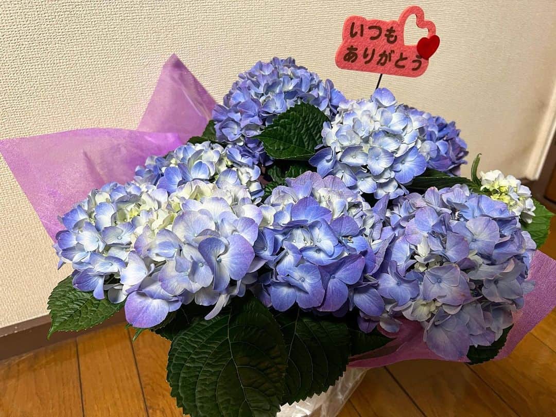 新井場徹のインスタグラム：「感謝。 いつもありがとう。 #母の日 #紫陽花 #健康」