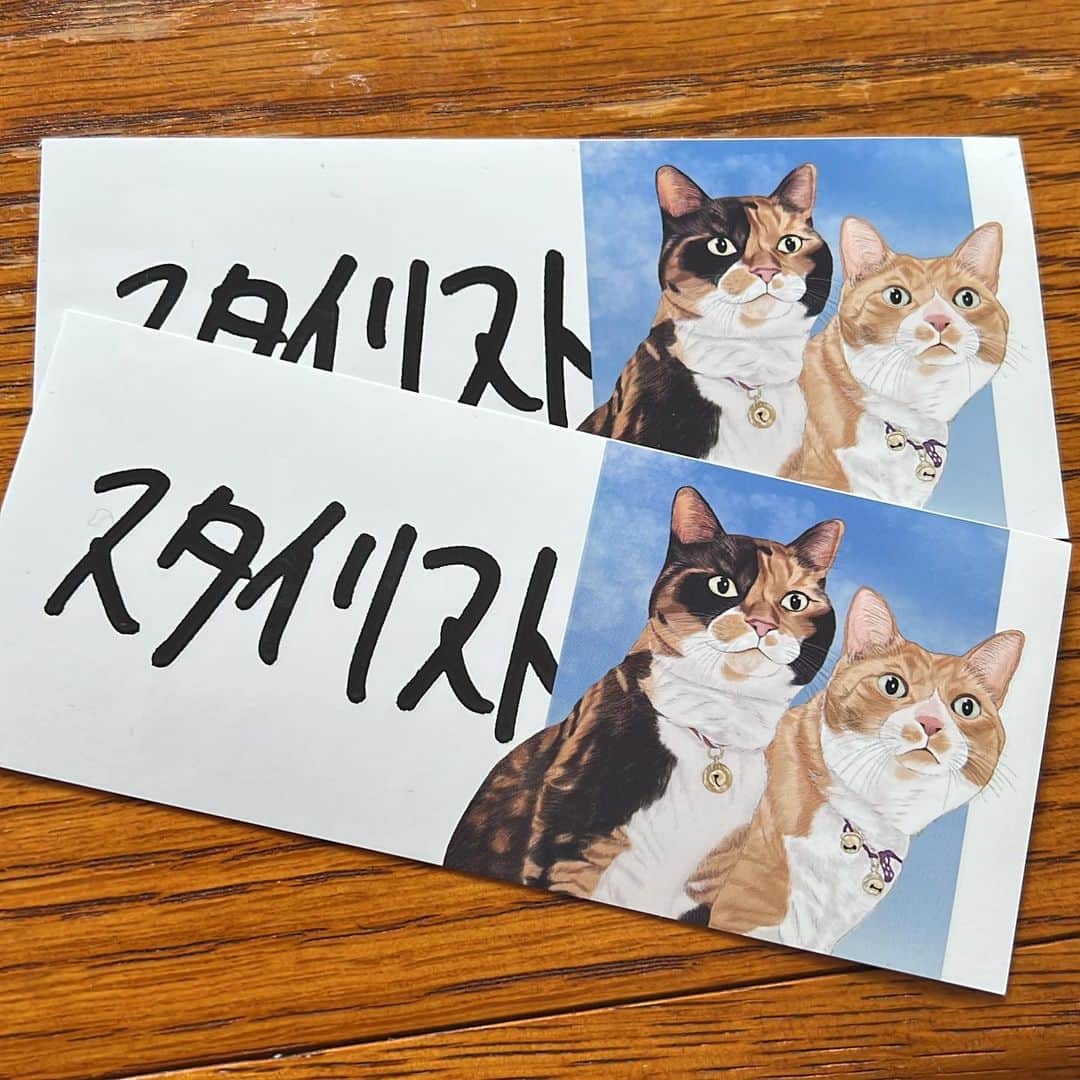 小泉智貴のインスタグラム：「どこに貼ろう😌🐈🐈‍⬛」