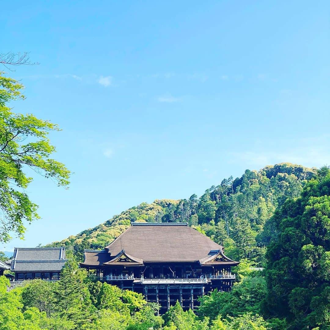 伊藤まさこのインスタグラム：「@weeksdays_official たのしみ展が終わった翌日から京都へ(お越しくださった皆さまありがとうございました☺️)。毎朝の日課になっている散歩、京都滞在中は寺巡りを。写真は朝一番、貸し切り状態の清水の舞台。多い時は毎月通っていた京都ですが今回なんと2年半ぶり。春から初夏へ移りゆく味をたのしんできました。またすぐ行きたいなぁ。 さて、今年の7月で5年目を迎えるweeksdays。その間1日も休まず更新を続けてきました。今週は「よみかえすweeksdays」としまして、対談や鼎談、寄稿いただいたエッセイやレポートなど、weeksdaysチームおすすめの過去の読みものを紹介しています。え、そんな人が登場していたの？と驚くばかりのバラエティ。ぜひこの機会によみかえしてみてください。」