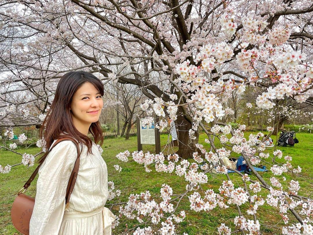 藤井美菜のインスタグラム：「. 調布の深大寺で撮影したYouTubeはご覧になっていただけましたか？ 調布には日活撮影所という大きな撮影スタジオがあるので、私は10歳くらいの時からオーディションなどで行くことが多かったのですが、深大寺には初めて行きました。 調布の新しい魅力を知れた気がして心が満たされました。まだまだ知らないことはたくさん、行ってみたい場所もたくさん🥰🌸✨  조후 진다이지에서 촬영한 YouTube 봐주셨습니까? 조후에는 큰 촬영장이 있어서 저는 10세때부터 오디션 이나 촬영때문에 많이 다녔는데요. 진다이지에는  처음으로 갔습니다. 조후의 새로운 매력을 알게 되서 뭔가 기분이 좋았어요. 아직 모르는 것은 많고, 가보고 싶은대도 많다~~🥰🌸✨ #調布#深大寺#ゲゲゲの鬼太郎#桜#일본#조후#진다이지#벗꽃#일본감성#게게게의키타로#japan#cherryblossom#gegegenokitaro」