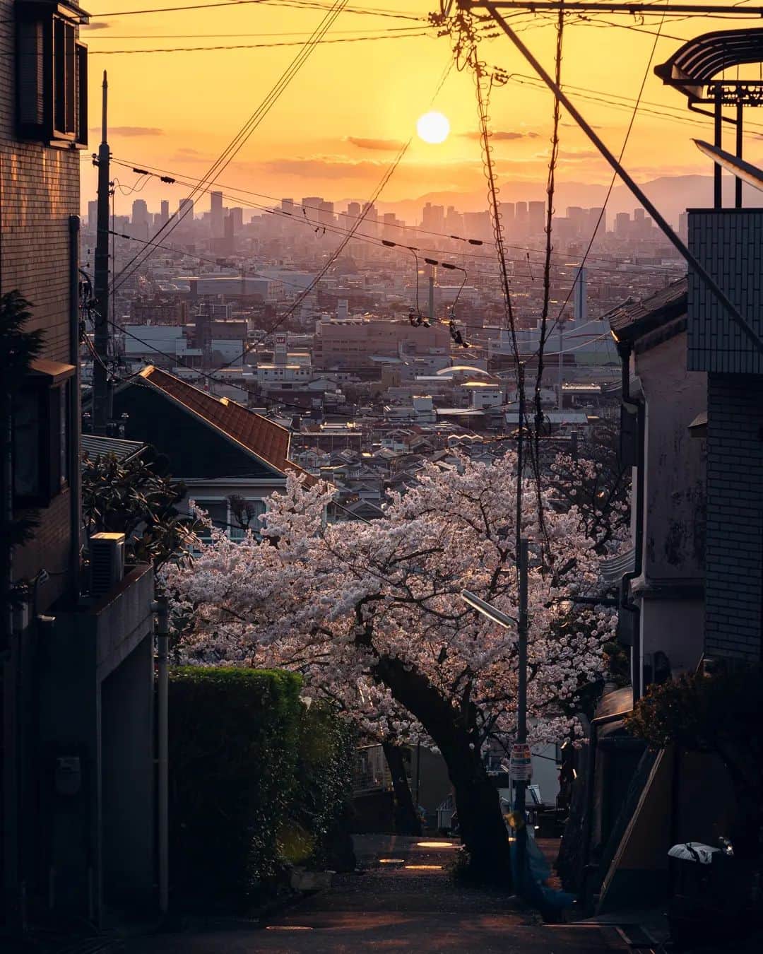 deepskyさんのインスタグラム写真 - (deepskyInstagram)「Love higashi osaka streets！So many interesting alleyways ！Some part of his city is located in the hill. You are able to see city center through small streets.  . 最近東大阪にハマってます！背景に大阪の街並みが狭い路地から垣間見れます。写真的にもマイナーなスポットだと思うので、人も少なく撮りやすいのでおすすめです！ . . .  #sakura #桜  #cherryblossom #reel #リール #撮影 #osaka #東大阪 . . . #lonelyplanet #voyaged #stayandwonder  #awesomephotographers #complexphotos  #sonyalpha #bealpha  #earth #earthfocus #discoverearth #thegreatplanet #streets_vision  #earthofficial #roamtheplanet  #earthbestshots #lovetheworld  #visitjapan  #japantrip #japantravel #wonderful_places  #beautifuldestinations #hopebeast」5月9日 21時22分 - _deepsky