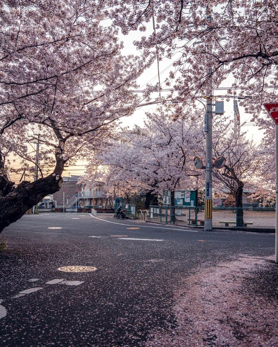 deepskyさんのインスタグラム写真 - (deepskyInstagram)「Love higashi osaka streets！So many interesting alleyways ！Some part of his city is located in the hill. You are able to see city center through small streets.  . 最近東大阪にハマってます！背景に大阪の街並みが狭い路地から垣間見れます。写真的にもマイナーなスポットだと思うので、人も少なく撮りやすいのでおすすめです！ . . .  #sakura #桜  #cherryblossom #reel #リール #撮影 #osaka #東大阪 . . . #lonelyplanet #voyaged #stayandwonder  #awesomephotographers #complexphotos  #sonyalpha #bealpha  #earth #earthfocus #discoverearth #thegreatplanet #streets_vision  #earthofficial #roamtheplanet  #earthbestshots #lovetheworld  #visitjapan  #japantrip #japantravel #wonderful_places  #beautifuldestinations #hopebeast」5月9日 21時22分 - _deepsky