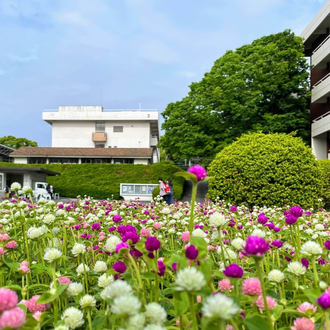 福岡女子短期大学のインスタグラム