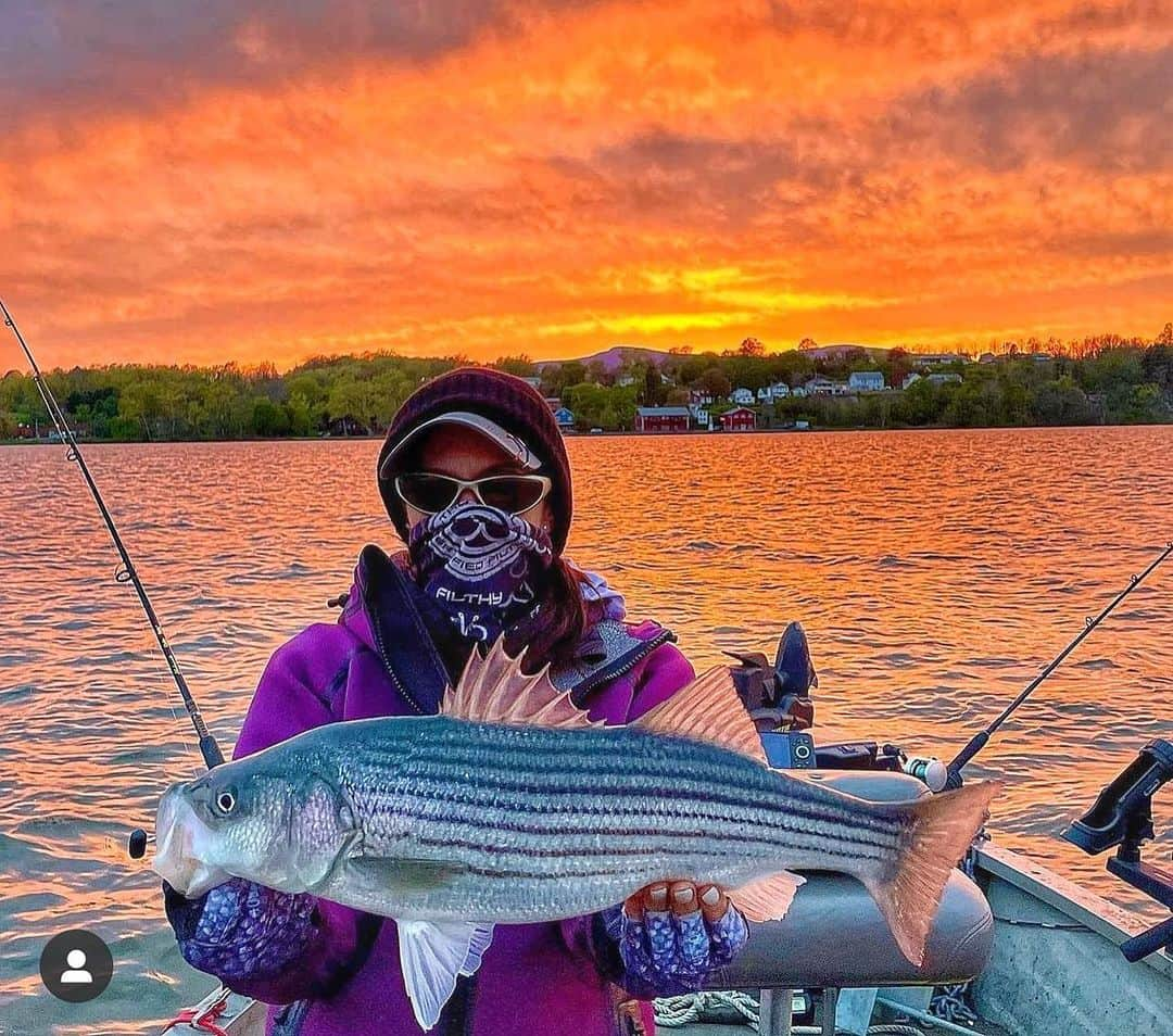 Filthy Anglers™のインスタグラム：「Beautiful fish and sunset on the Hudson River for our friend Rachel @raelynnfishing78 - awesome photo! www.filthyanglers.com #fishing #striper #bassfishing #outdoors #bass #girlswhofish #filthyanglers」