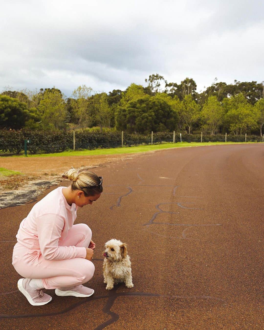 フェリシティー・パルマティアーのインスタグラム：「Taking my @newbalanceau Fresh Foam Roav v2 and Uni-ssentials apparel for a spin this afternoon on the track with the pup in tow. Can confirm – super comfortable! Head to @RebelSport to get your pair today! #NewBalanceAU @rebelsportwomen  #NBFreshFoamRoav #RebelSport #AD」