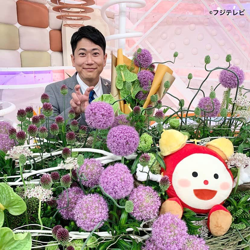 フジテレビ「めざましテレビ」さんのインスタグラム写真 - (フジテレビ「めざましテレビ」Instagram)「きょうのお花は「アリウム」🌸 丸いフォルムがかわいらしい 「アリウム」ですが じつは「ネギ」の仲間なんです😊 ＃めざましテレビ」5月10日 11時07分 - mezamashi.tv