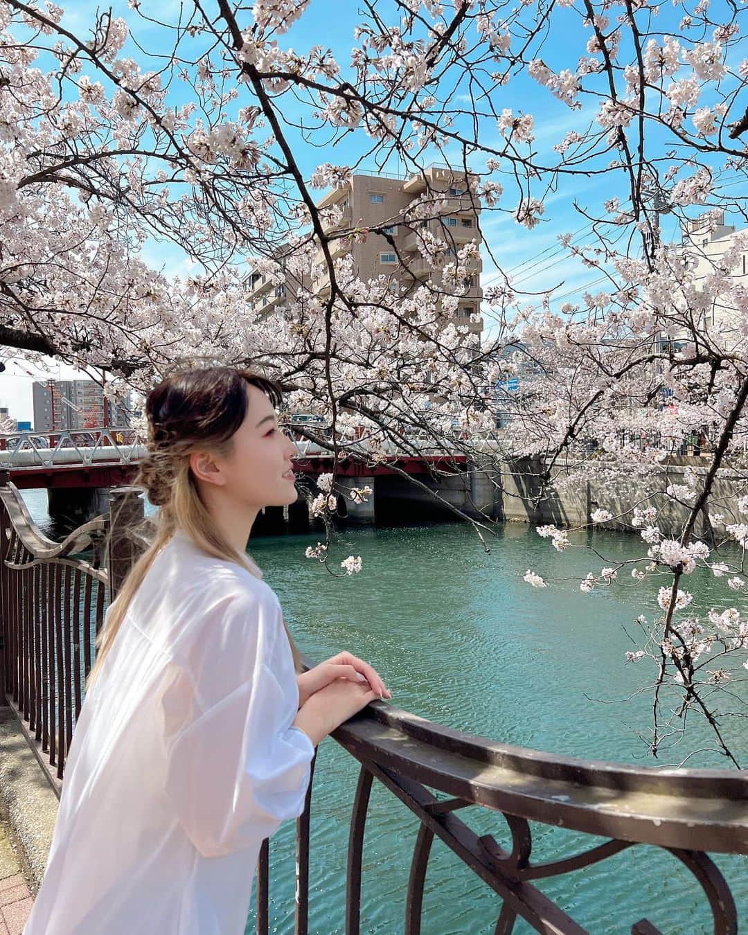 のインスタグラム：「🤍 ⁡ 大岡川の桜まつりへ🌸 ⁡ 横浜に何年間か住んでたのに 実は初めて行きました🫣🤍🤍 ⁡ 川沿いの桜並木がきれいでした🙌🌸 ⁡ 屋台で初めてお餅買った〜🙆‍♀️ おいちゃんがきなことあんこを大盛りにしてくれて ハッピーになりました🫶✨ ありがとうございました🥰❤️ ⁡ #神奈川 #横浜 #大岡川 #大岡川桜まつり #大岡川桜祭り  #桜 #さくら #お花見 #お花見スポット  #お花見日和 #花見 #桜の名所 #桜スポット #花マップ #はなまっぷ」