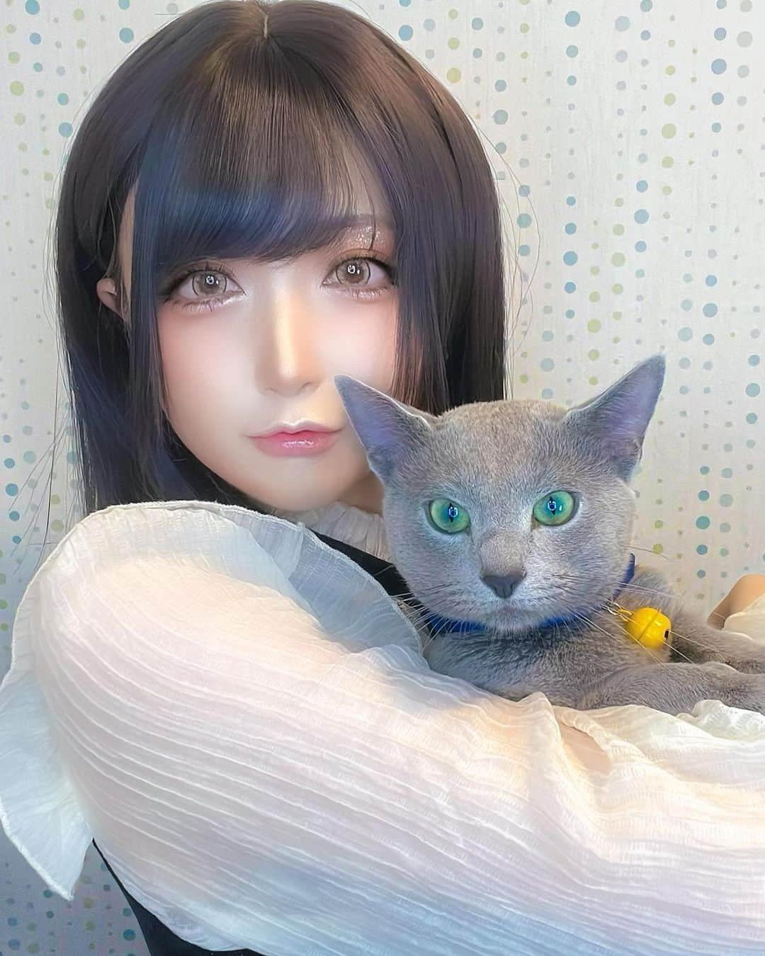 華密美琉さんのインスタグラム写真 - (華密美琉Instagram)「ネコチャン ฅ^._.^ฅ にゃー  ネコチャンはナイトくん🐱  #ネコスタグラム  #ねこすたぐらむ  #ねこのいる生活  #猫のいる暮らし  #猫スタグラム  #猫写真  #ねこと暮らす  #ねこ好きさんと繋がりたい  #猫好き  #猫の日  #ロシアンブルー  #ロシアンブルー好き  #ロシアンブルーの男の子  #ロシアンブルー男の子  #ロシアンブルー大好き  #コスプレイヤーカモミール  #ねこら部  #猫の日常  #ねこすき  #ねこすた  #ねこちゃん  #ねこだいすき  #ネコ写真  #cat  #cats  #catsofinstagram  #catstagram  #catlover  #catlife  #catlove」5月11日 13時19分 - chamomile_chami