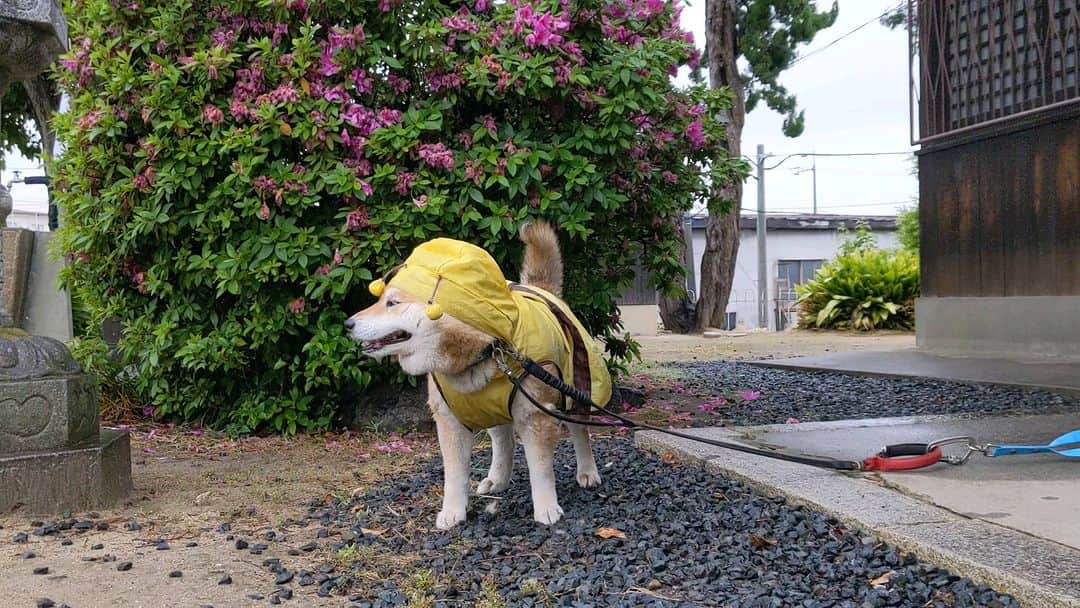 Ryujiのインスタグラム