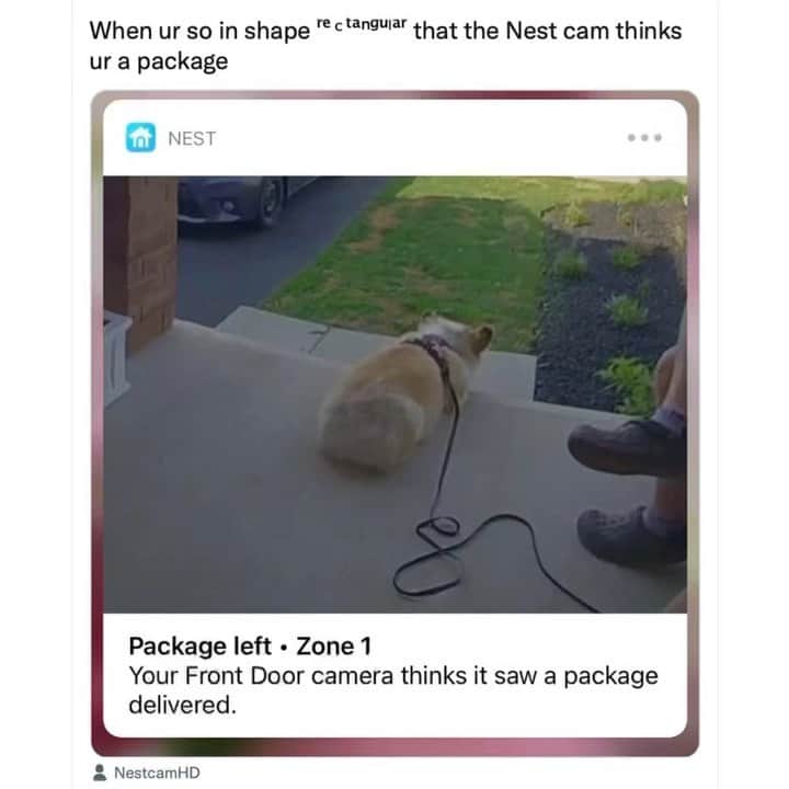 BarkBoxのインスタグラム